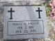 BERZA Adelis Headstone 1959