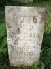 Willie Roger Pet Airedale Rose Headstone